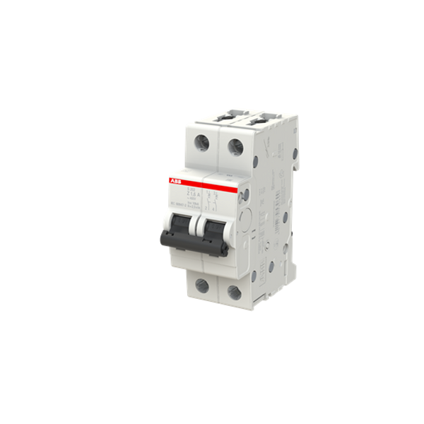 S202-K2 Miniature Circuit Breaker - 2P - K - 2 A image 4