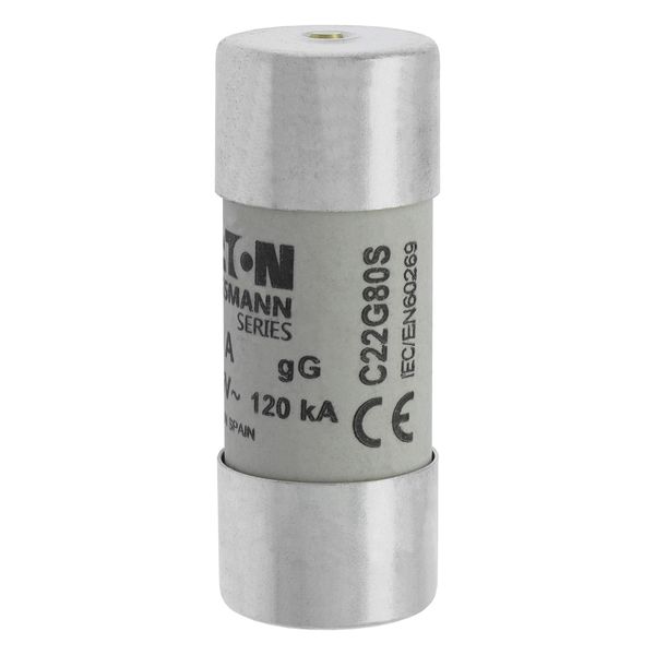 Fuse-link, LV, 80 A, AC 500 V, 22 x 58 mm, gL/gG, IEC, with striker image 17
