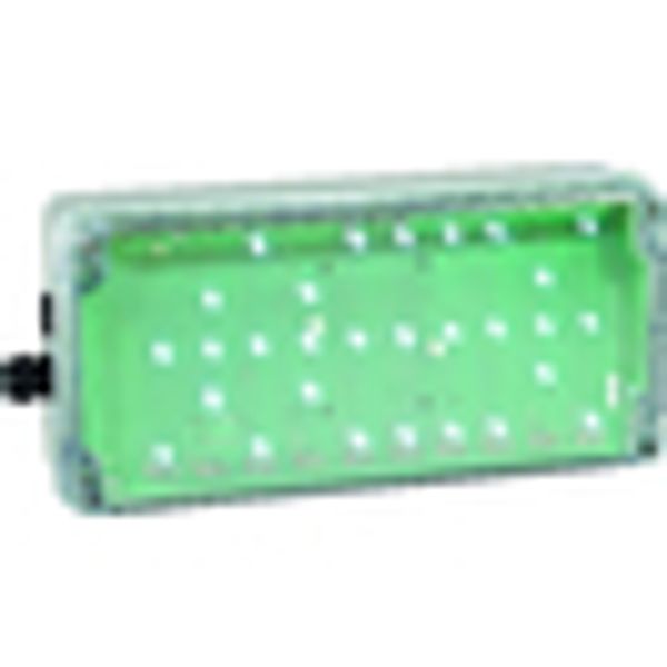 EX-protected emerg.luminaire EXIT N zone1/21 LED 3h 230V AC image 2