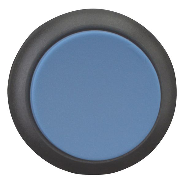 Pushbutton, RMQ-Titan, Extended, momentary, Blue, Blank, Bezel: black image 4