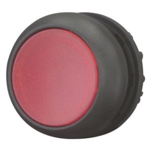 Illuminated pushbutton actuator, RMQ-Titan, Flush, momentary, red, Blank, Bezel: black image 2