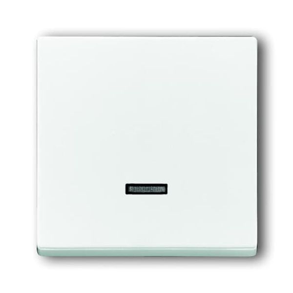 6543-84-101-500 CoverPlates (partly incl. Insert) future®, Busch-axcent®, solo®; carat® Studio white image 1