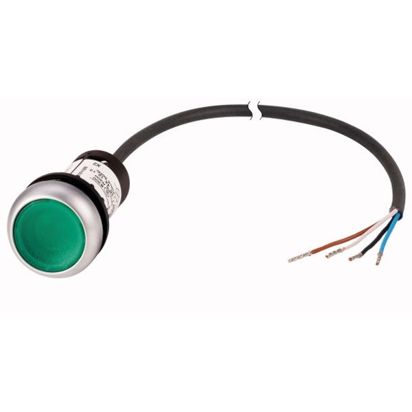 Illuminated pushbutton actuator, classic, flat, maintained, 1 N/O, green, 24 V AC/DC, cable (black) with non-terminated end, 4 pole, 1 m image 1