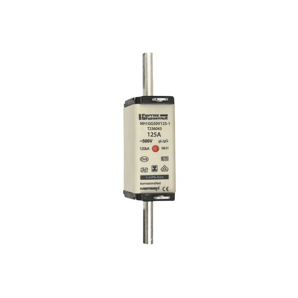 Fuse-link NH1 gG 500VAC 125A isolated tags Double indicator image 1