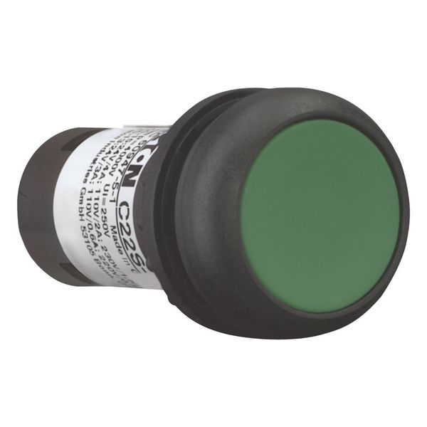 Pushbutton, Flat, momentary, 1 NC, 1 N/O, Screw connection, green, Blank, Bezel: black image 12