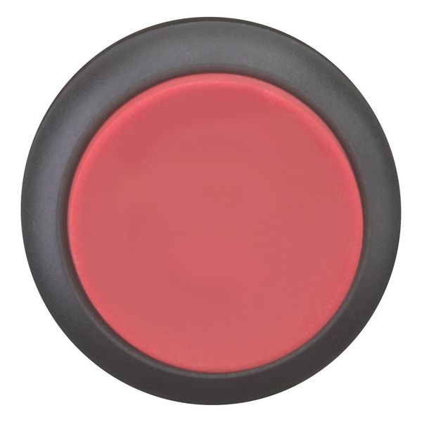 Pushbutton, RMQ-Titan, Extended, maintained, red, Blank, Bezel: black image 3