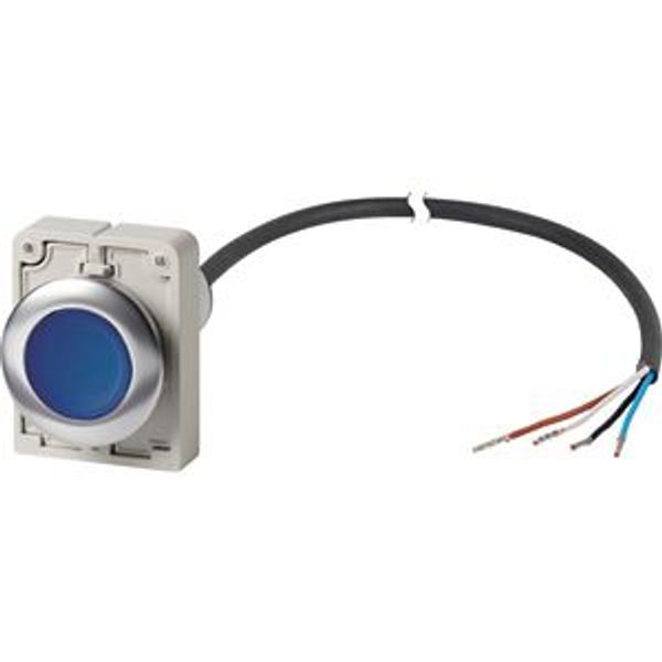 Illuminated pushbutton actuator, Flat, maintained, 1 N/O, Cable (black) with non-terminated end, 4 pole, 1 m, LED Blue, Blue, Blank, 24 V AC/DC, Metal image 2