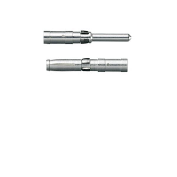 Contact (industry plug-in connectors), Pin, CM 5, 0.5 mm², 2.5 mm, tur image 2