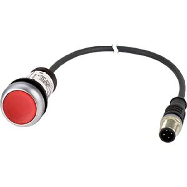 Illuminated pushbutton actuator, classic, flat, maintained, 1 N/C, red, 24 V AC/DC, cable (black) with m12a plug, 4 pole, 0.2 m image 5