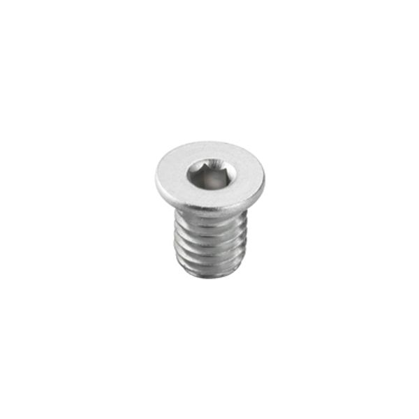 Mounting screw (Terminal), 0.00 M5.0, Depth: 7 mm image 1