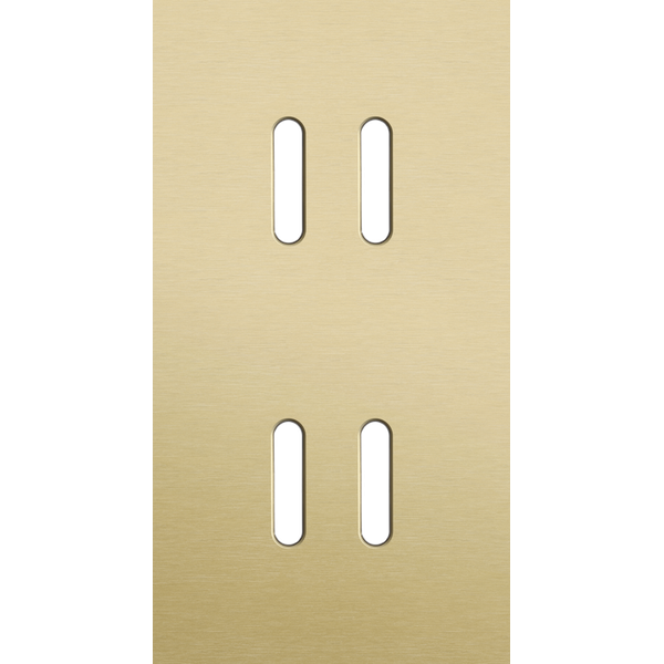 Twofold faceplate, vertical 71 mm centre distance, for double switch f image 1