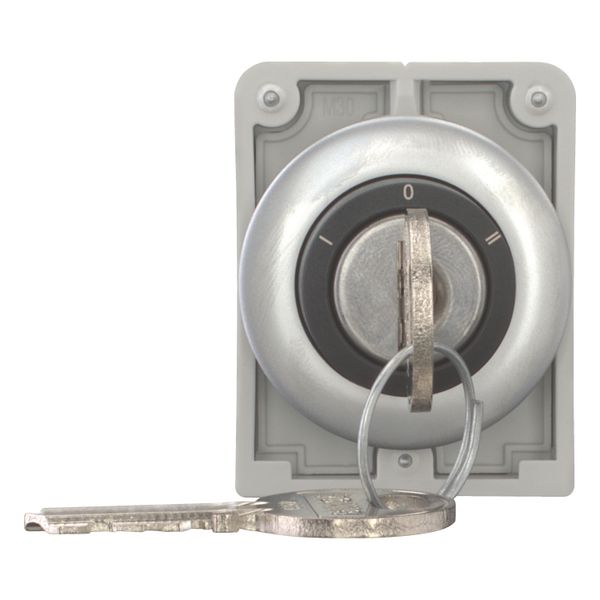 Key-operated actuator, Flat Front, maintained, 3 positions, Ronis 455, Key withdrawable: 0, Metal bezel image 11