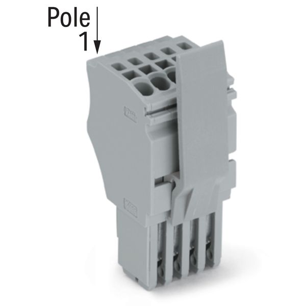 1-conductor female connector Push-in CAGE CLAMP® 1.5 mm² gray image 2