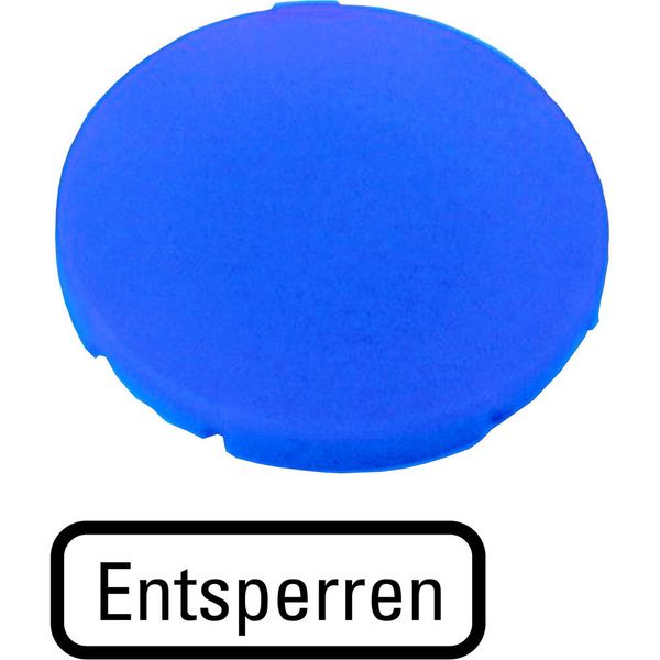 Button plate, flat blue, RELEASE image 2