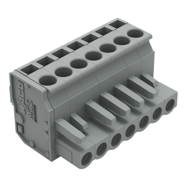 1-conductor female connector, angled CAGE CLAMP® 2.5 mm² gray image 1