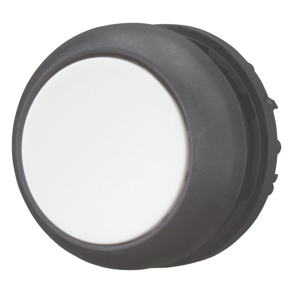 Pushbutton, RMQ-Titan, Flat, momentary, White, Blank, Bezel: black image 2