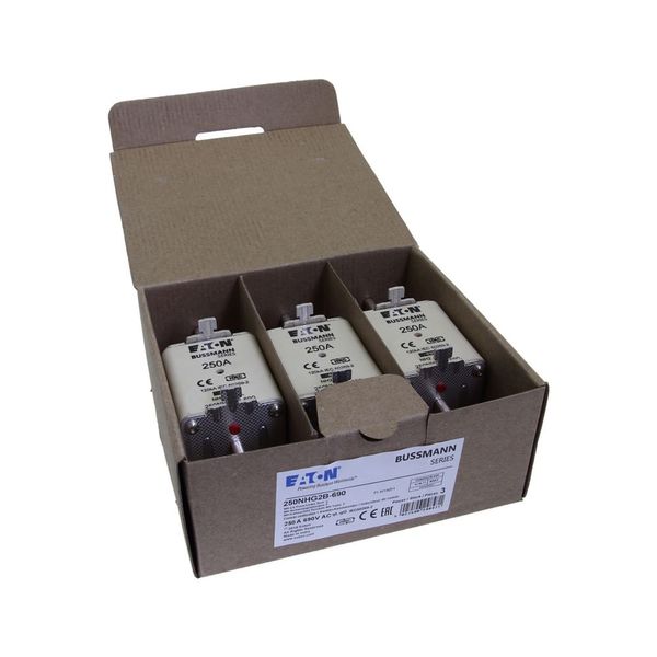Fuse-link, LV, 250 A, AC 690 V, NH2, gL/gG, IEC, dual indicator, live gripping lugs image 12