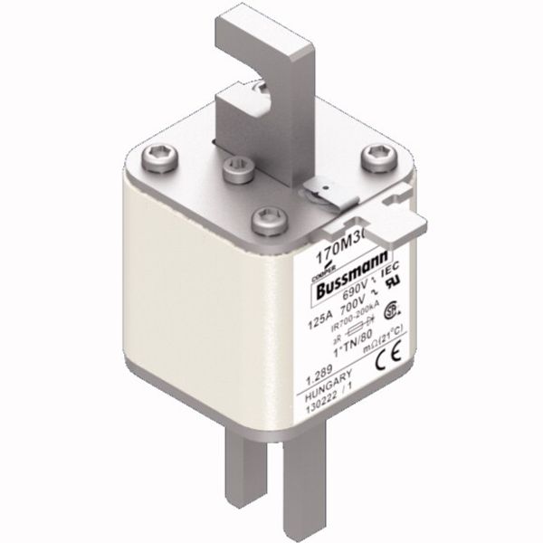 Fuse-link, high speed, 125 A, AC 690 V, compact DIN 1, 45 x 58 x 104 mm, aR, DIN, IEC, single indicator image 2