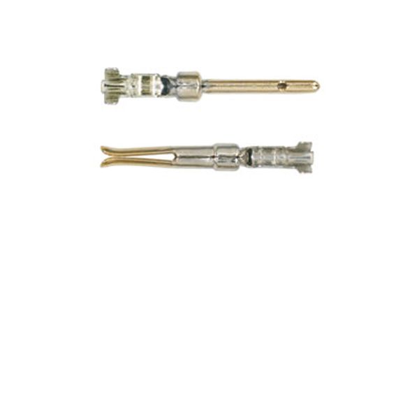 Contact (industry plug-in connectors), Pin, CM 20, 0.2 mm², 1 mm, punc image 2