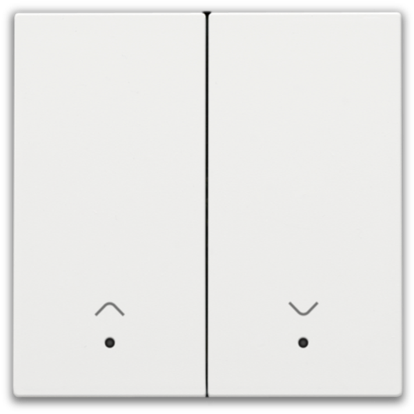 Finishing set with lens for double electronic roll-down shutter switch image 1