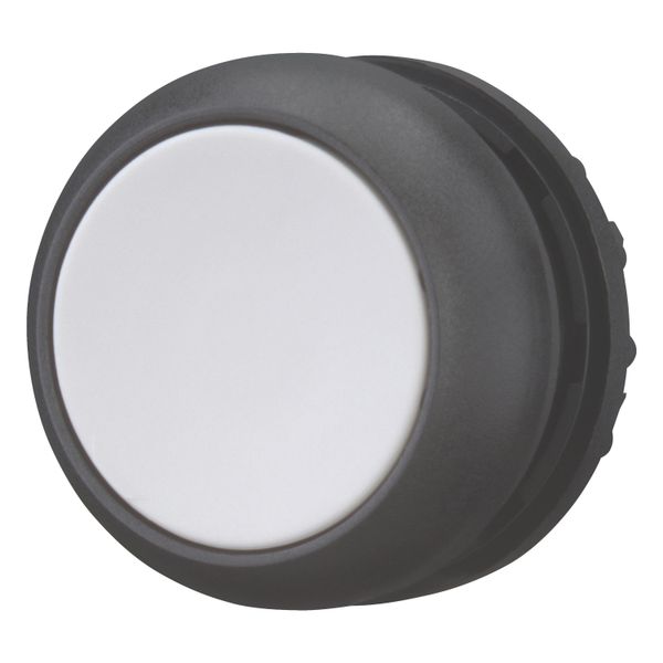 Pushbutton, RMQ-Titan, Flat, momentary, gray, Blank, Bezel: black image 4