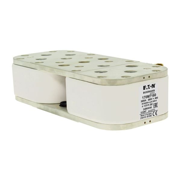 FUSE 3000A 660V 24BKN/60 AR image 16