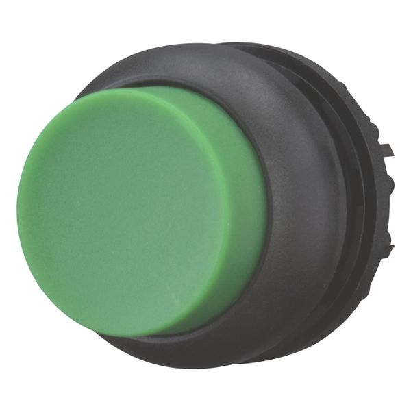 Pushbutton, RMQ-Titan, Extended, maintained, green, Blank, Bezel: black image 2