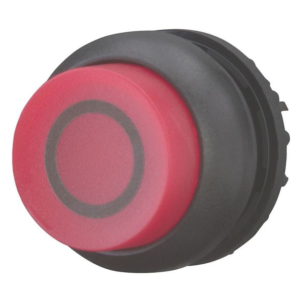 Illuminated pushbutton actuator, RMQ-Titan, Extended, momentary, red, inscribed, Bezel: black image 5