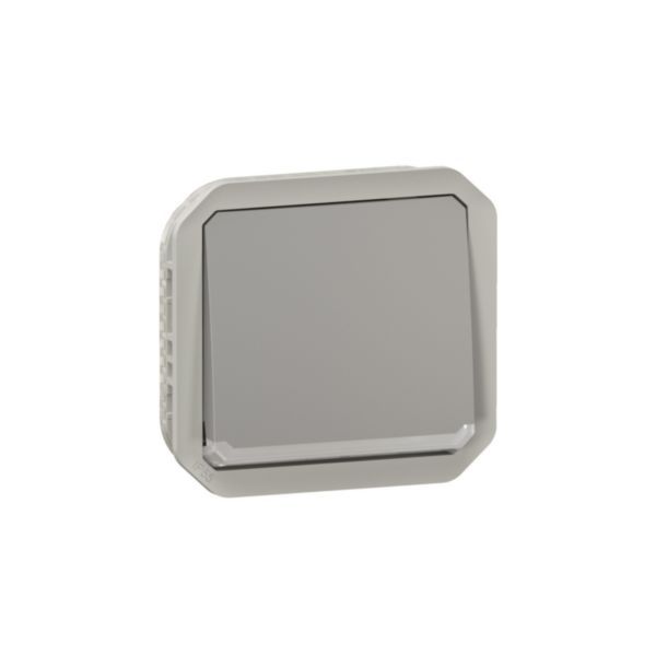 Plexo 10A waterproof switch or two-way indicator to be fitted with a gray finish box or support plate image 1