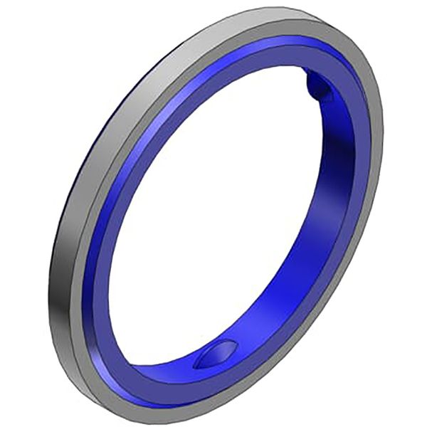 5263 RING,SEALING -3/4 RUBBER W/STL image 1