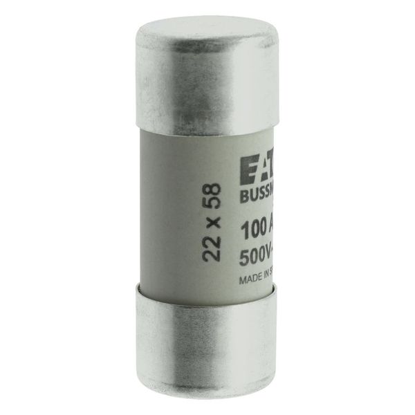 Fuse-link, LV, 100 A, AC 500 V, 22 x 58 mm, gL/gG, IEC image 11