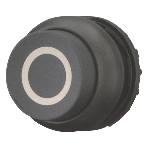 Pushbutton, RMQ-Titan, Extended, maintained, black, inscribed, Bezel: black image 2