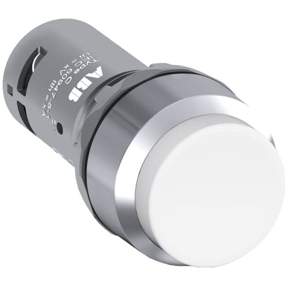 CP3-30W-11 Pushbutton image 1