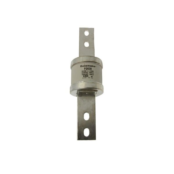 Fuse-link, low voltage, 560 A, AC 550 V, DC 400 V, BS88, 74 x 262 mm, gL/gG, BS image 14