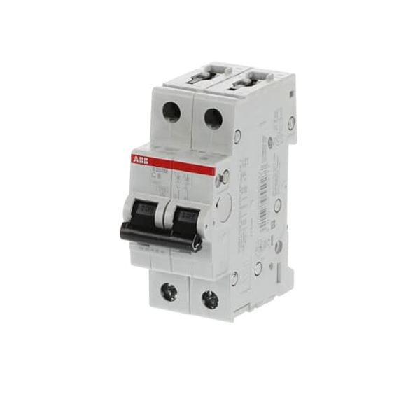 S202M-D10 Miniature Circuit Breaker - 2P - D - 10 A image 2