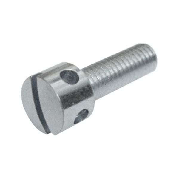 Sealing screw M5 (PU=1 piece) image 1