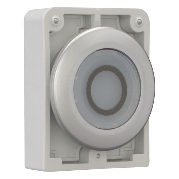 Illuminated pushbutton actuator, RMQ-Titan, Flat, maintained, White, inscribed 0, Metal bezel image 14