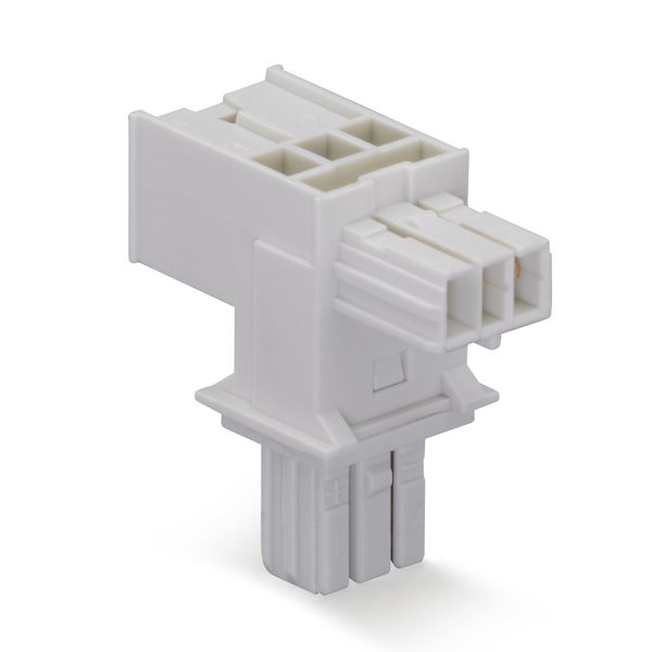 T-distribution connector 2-pole 1 input light gray image 1