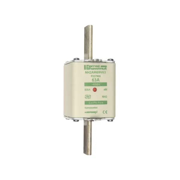 Fuse-link NH2 aM 690VAC 63A live tags Double indicator image 2