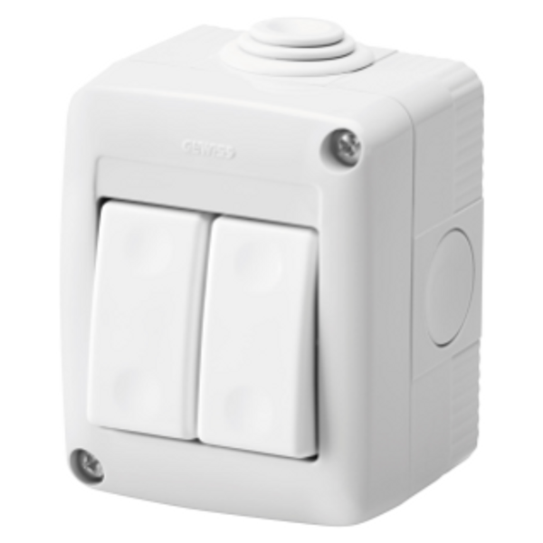 PROTECTED ENCLOSURE COMPLETE WITH SYSTEM DEVICES - WITH TWO-WAY SWITCH+TWO-WAY SWITCH 1P 16 AX - IP40 - RGREY RAL 7035 image 1