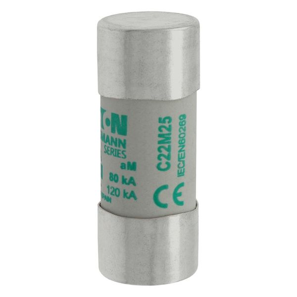 Fuse-link, LV, 25 A, AC 690 V, 22 x 58 mm, aM, IEC image 8