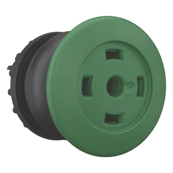 Mushroom actuator, RMQ-Titan, Mushroom, momentary, Mushroom green, Without button plate, Bezel: black image 7