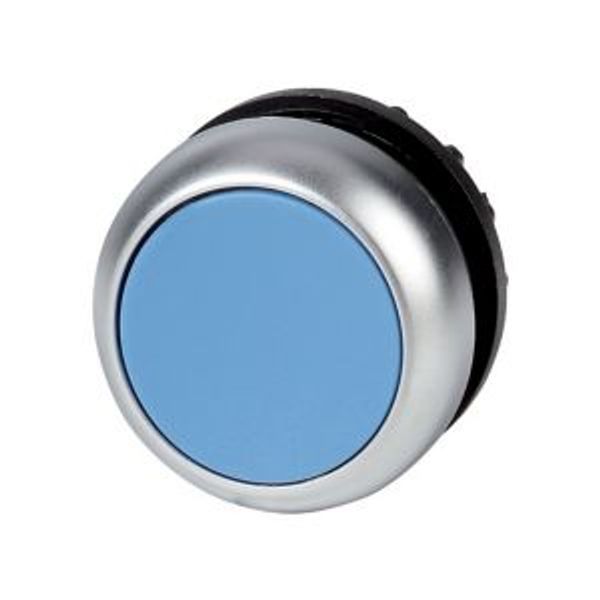 Pushbutton, RMQ-Titan, Flat, maintained, Blue, Blank, Bezel: titanium image 4