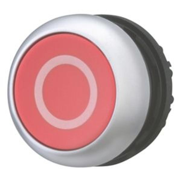 Pushbutton, RMQ-Titan, Flat, maintained, red, inscribed, Bezel: titanium image 8