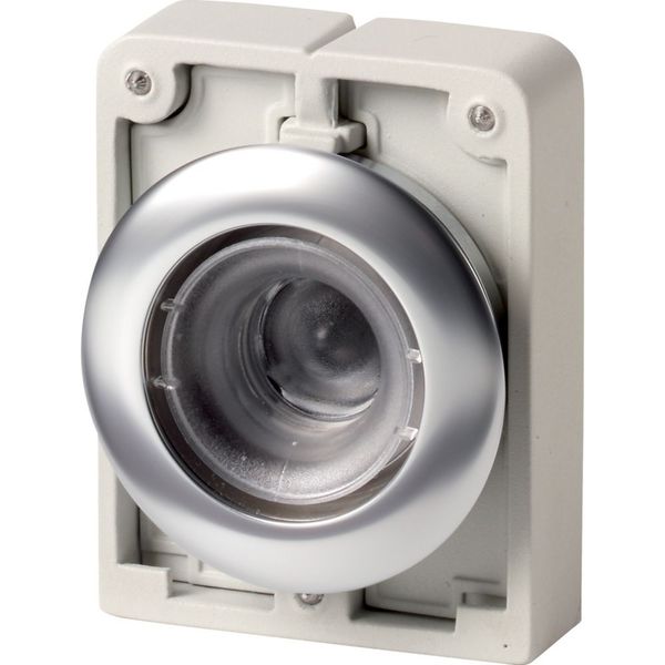 Illuminated pushbutton actuator, RMQ-Titan, flat, maintained, Front ring stainless steel image 4