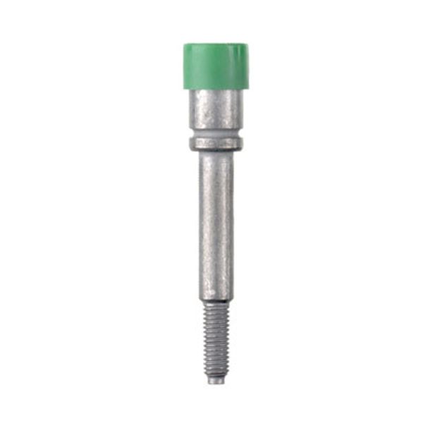 Socket (terminal), Plug-in depth: 10 mm, Depth: 31.7 mm image 1