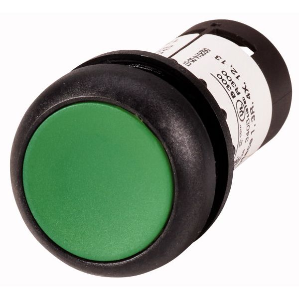 Pushbutton, Flat, maintained, 2 N/O, Screw connection, green, Blank, Bezel: black image 1