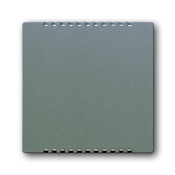 6541-803 CoverPlates (partly incl. Insert) Busch-axcent®, solo® grey metallic image 1