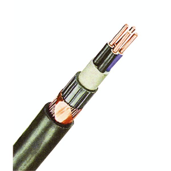 PVC Insulated Heavy Current Cable NYCY 2x1,5re/1,5 black image 1