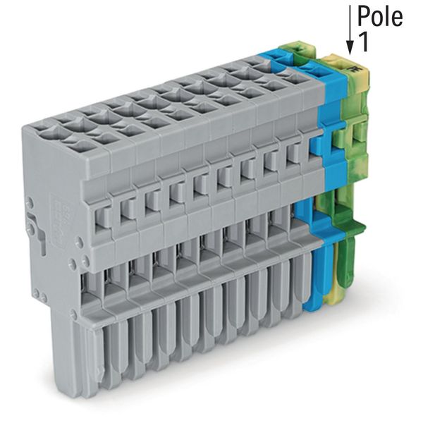 1-conductor female connector CAGE CLAMP® 4 mm² green-yellow/blue/gray image 4